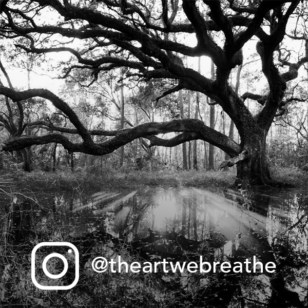 The Art We Breathe - Instagram